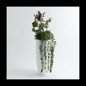 绿色植物摆件3D模型